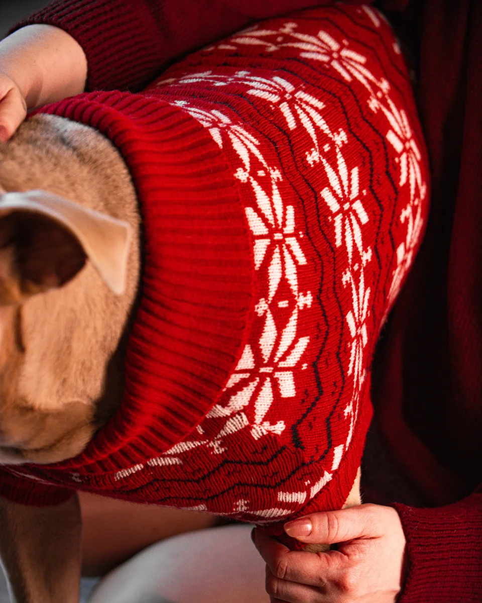 Maglione Balto CHRISTMAS EDITION - immagine 9