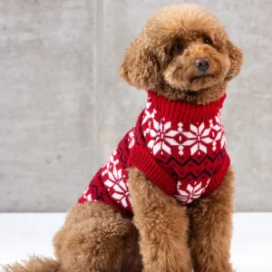 Maglione Balto CHRISTMAS EDITION